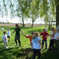 Koala 066 - Scouts en Gidsen Zaventem 